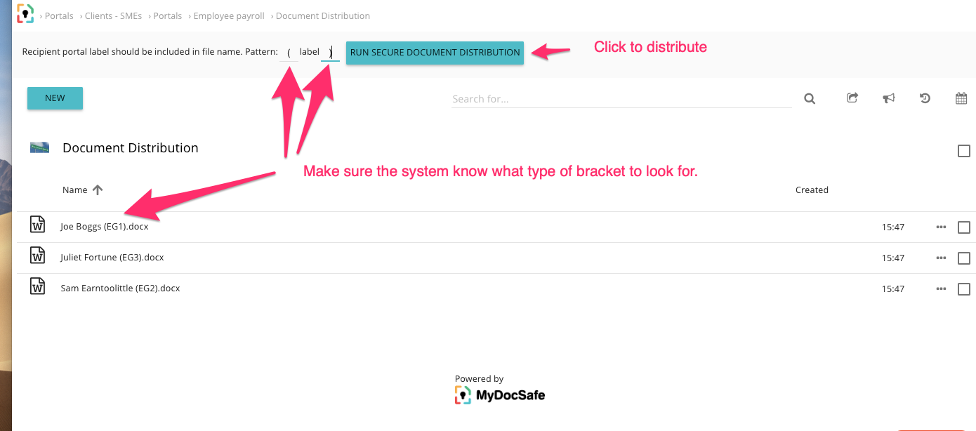 mydocsafe customer portals